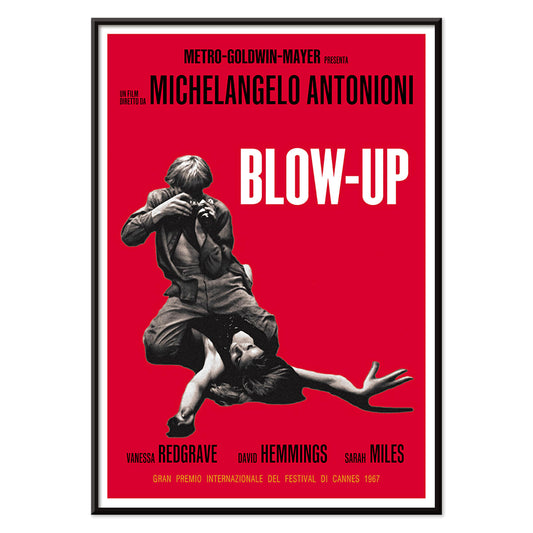 Michelangelo Antonioni Blow Up Movie poster with dramatic black and white photography and vibrant red background, with black aluminium frame on white background