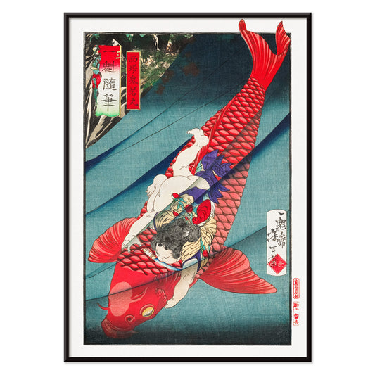 Young boy holding and wrestling a giant red koi fish in vibrant Japanese woodblock print Saito no Oniwakamaru by Tsukioka Yoshitoshi, with black aluminium frame on white background