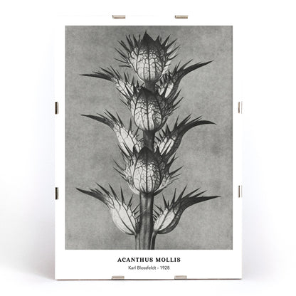 , framed and displayed in modern living room decor