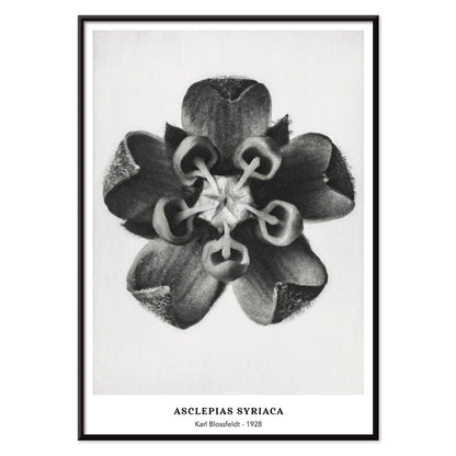 , with black aluminium frame on white background