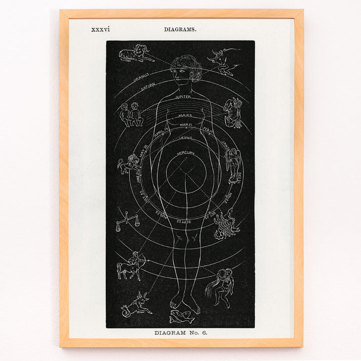 Closeup detail of Astrological human body diagram and poster with zodiac signs planets and symbols by Hiram Erastus Butler from Solar Biology