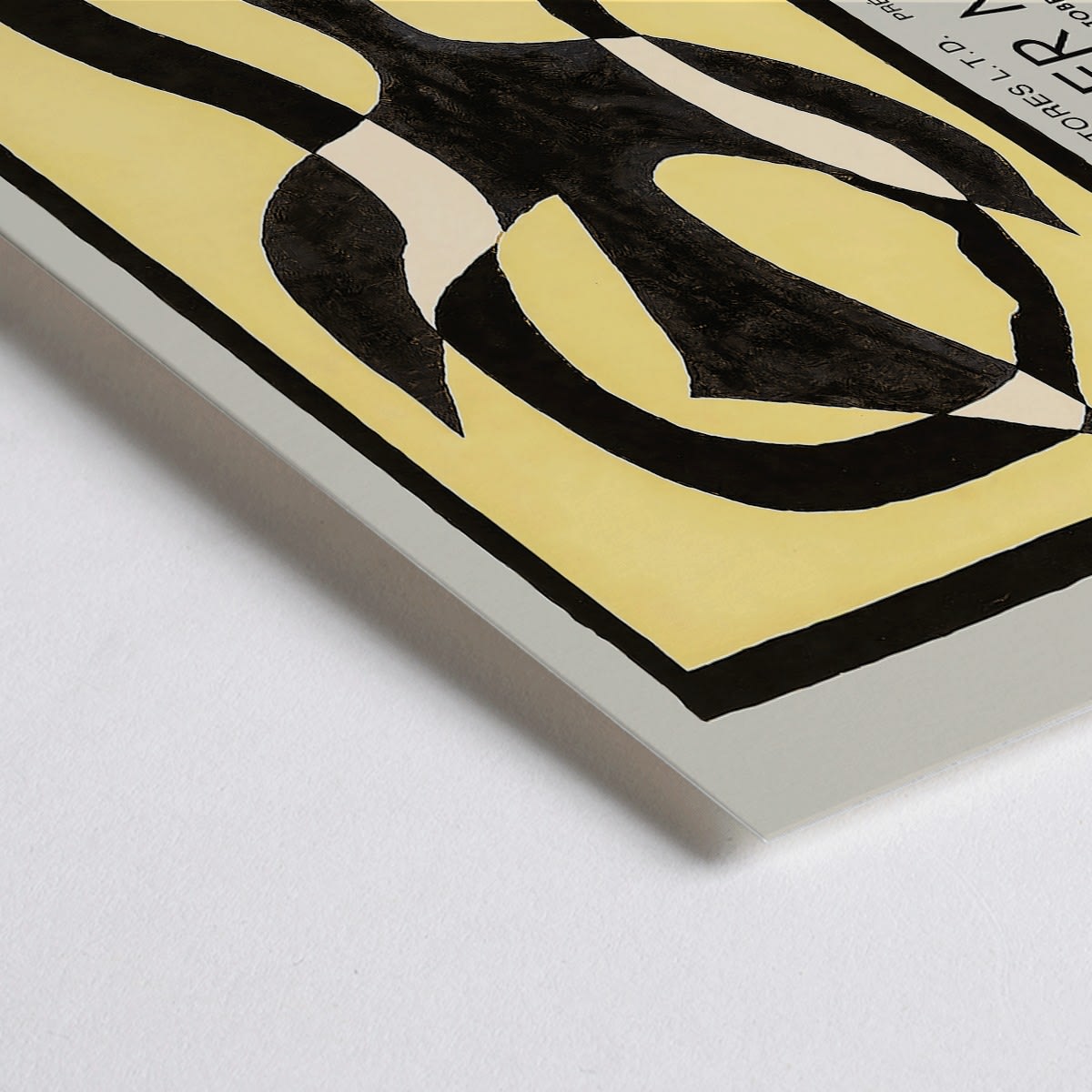 Closeup detail of Bird passing through a Cloud by George Braque exhibition poster for L Atelier Mourlot featuring abstract artwork and imagery