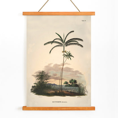 Euterpe oleracea botanical illustration and palm landscape poster by Carl Friedrich Philipp von Martius from Historia Naturalis Palmarum, with wooden magnetic frame on white background