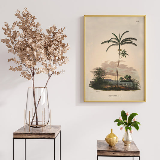 Euterpe oleracea botanical illustration and palm landscape poster by Carl Friedrich Philipp von Martius from Historia Naturalis Palmarum, framed and displayed in home decor