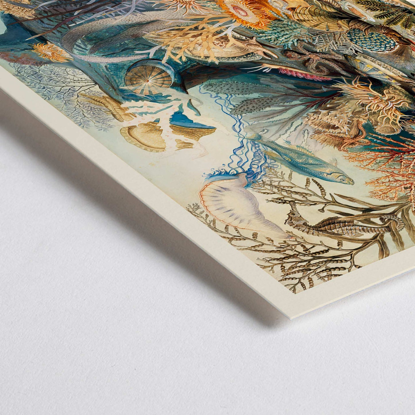 Closeup detail of Vibrant underwater scene with colorful marine life plants and sea creatures artwork Ocean Life by James M Sommerville