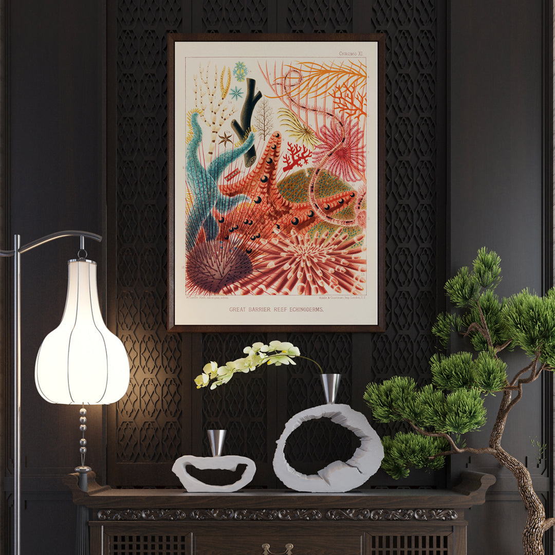 , framed and displayed in home decor