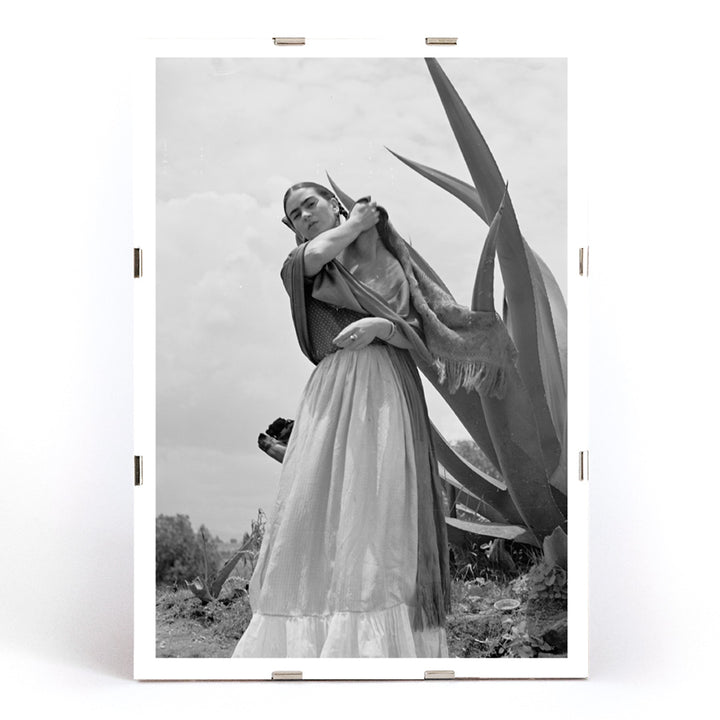 Frida Kahlo Senora Diego Rivera standing beside agave plant by Toni Frissell black and white artwork poster, framed and displayed in modern living room decor