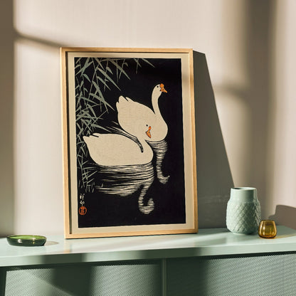 White Chinese Geese Swimming by Ohara Koson featuring two elegant white geese on water with bamboo leaves and reeds poster artwork, framed and displayed in modern living room decor