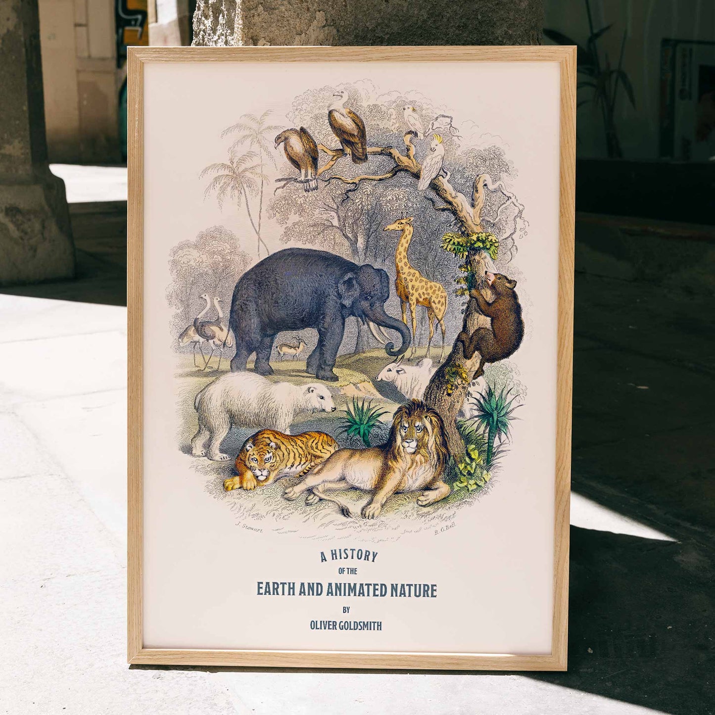 Wild animals and birds illustrated on the cover of A history of the earth and animated nature by Oliver Goldsmith poster, framed and displayed in home decor