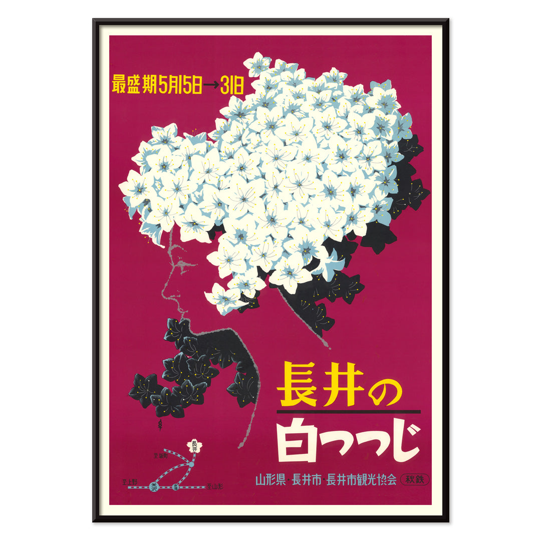 , with black aluminium frame on white background