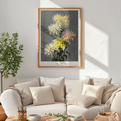 Hand colored floral collotype and poster of vibrant chrysanthemums from Namichidori by Kazumasa Ogawa showing soft shaded hand colored floral artwork, framed and displayed in home decor