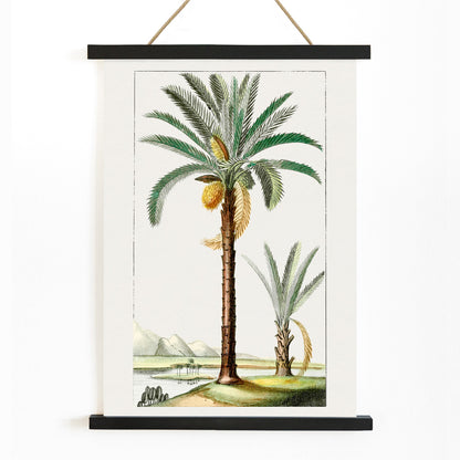 Hand drawn palm tree art print poster with detailed leaves and landscape background, with wooden magnetic frame on white background