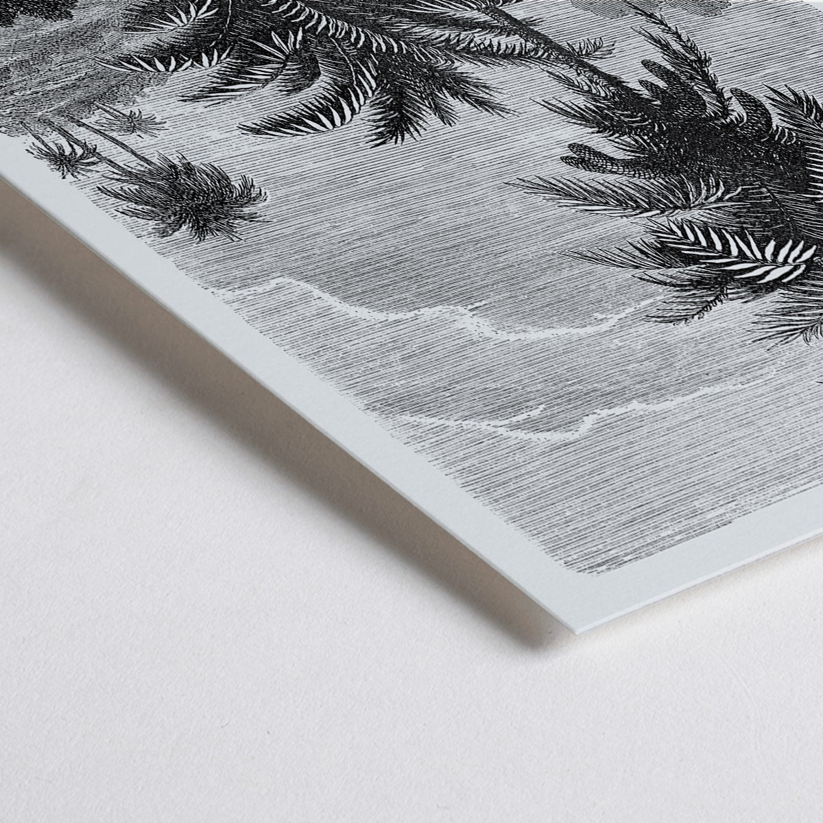 Closeup detail of Black and white illustration of palm trees by Oswald de Kerchove de Denterghem from Les Palmiers Histoire Iconographique poster