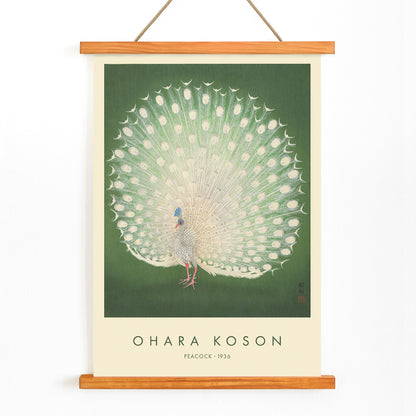 Elegant white peacock with full plumage on green background artwork by Ohara Koson poster, with wooden magnetic frame on white background