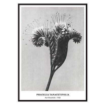 , with black aluminium frame on white background