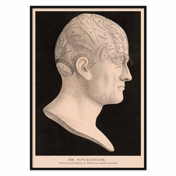 Dr. Spurzheim Divisions of the organs of phrenology poster labeled human head profile vintage black and white, with black aluminium frame on white background