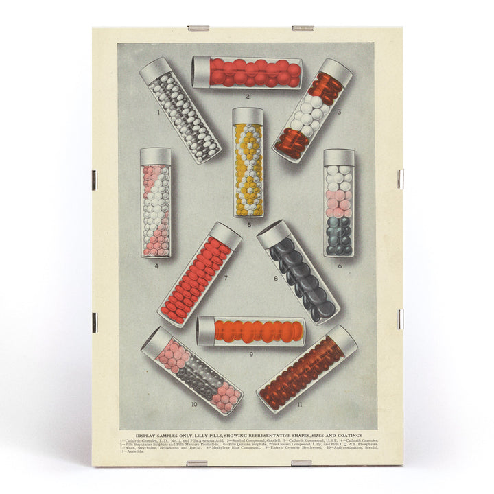 , framed and displayed in modern living room decor