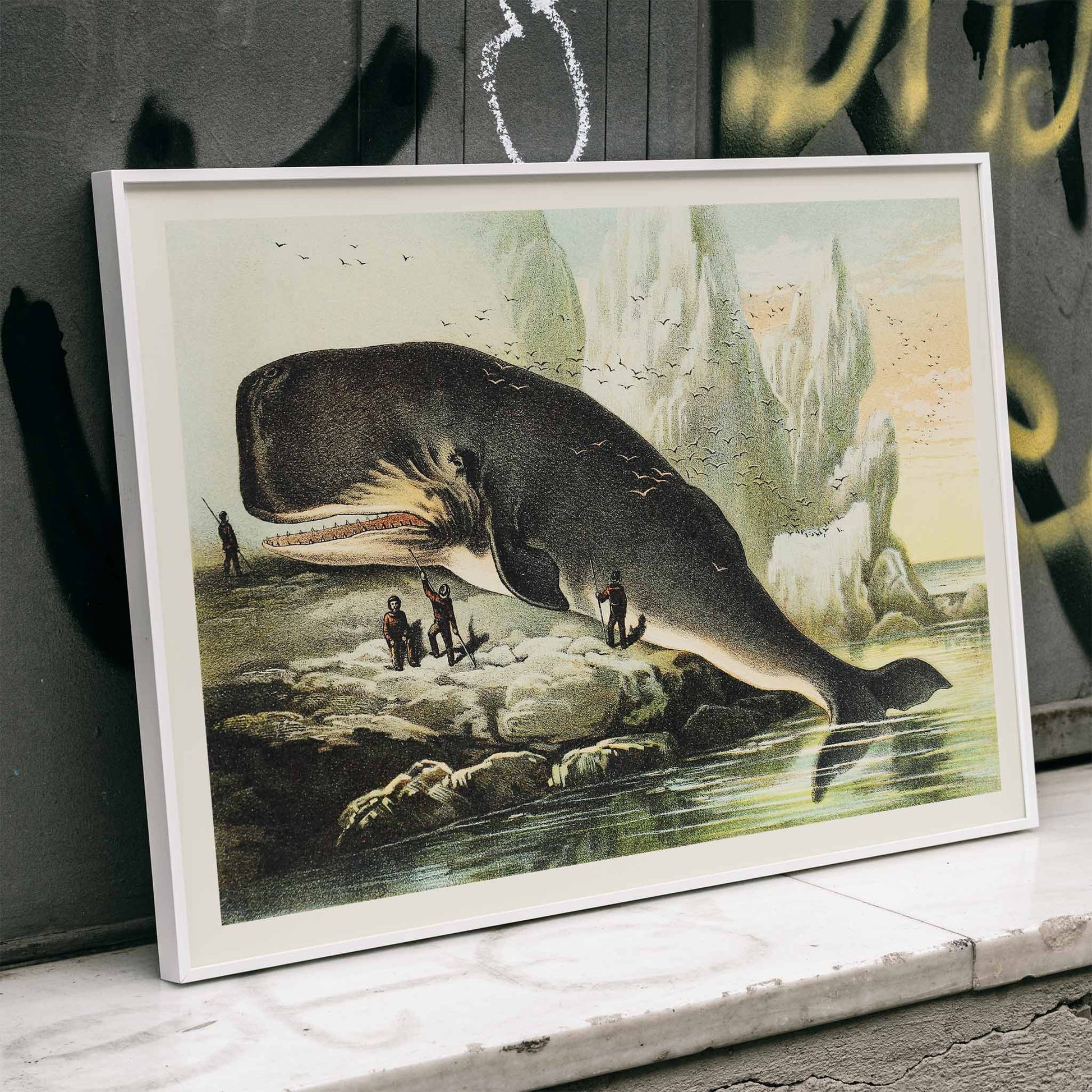 Sperm whale stranded on rocky shore with people and icy cliffs by John Karst from Johnsons household book of nature poster, framed and displayed in modern living room decor
