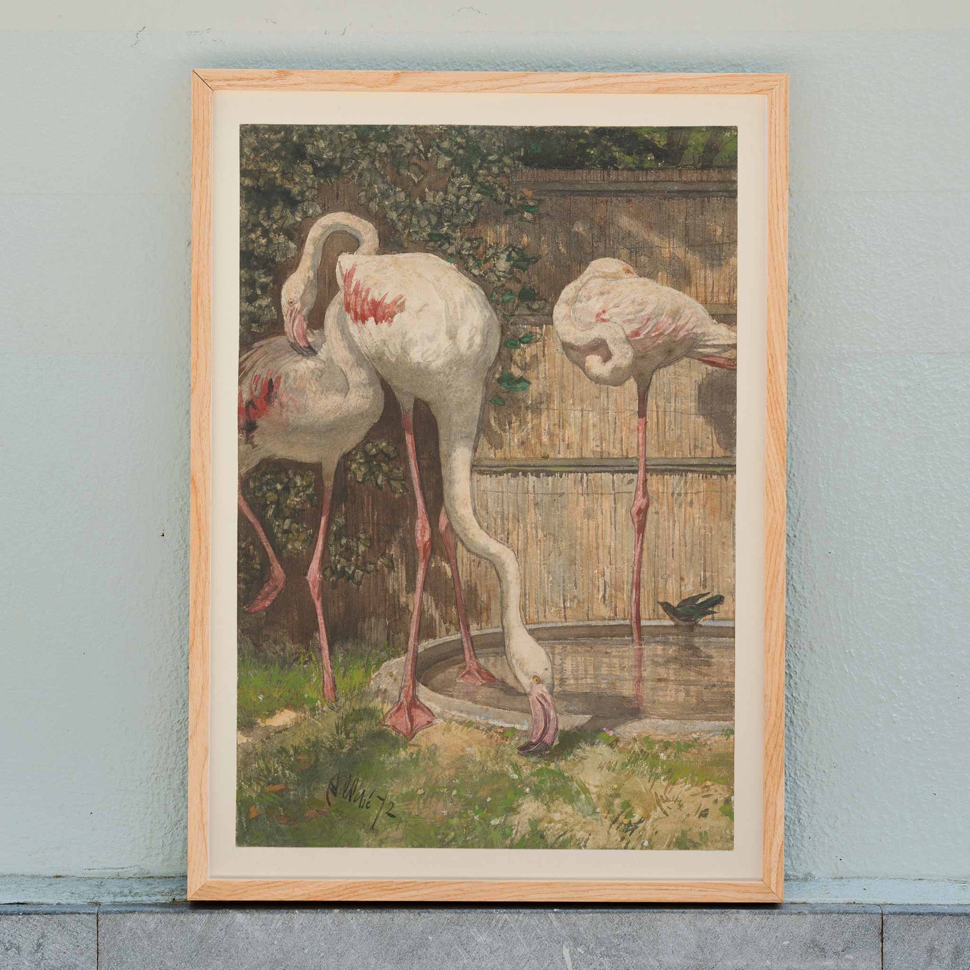 Three flamingos standing and drinking near a basin in a garden artwork by August Allebé titled Three Flamingos near a Basin poster, framed and displayed in home decor