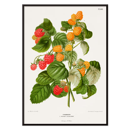 , with black aluminium frame on white background