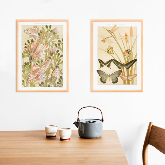 Poster of colorful red mullet fish swimming among green algae titled Red mullet and Algae by Maurice Pillard Verneuil, framed and displayed in home decor