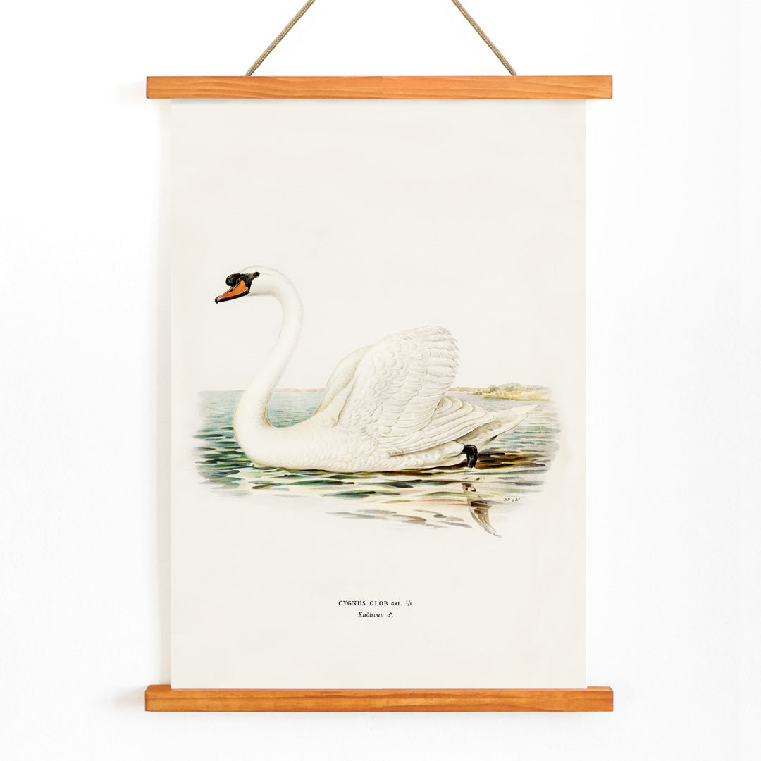 , with wooden magnetic frame on white background