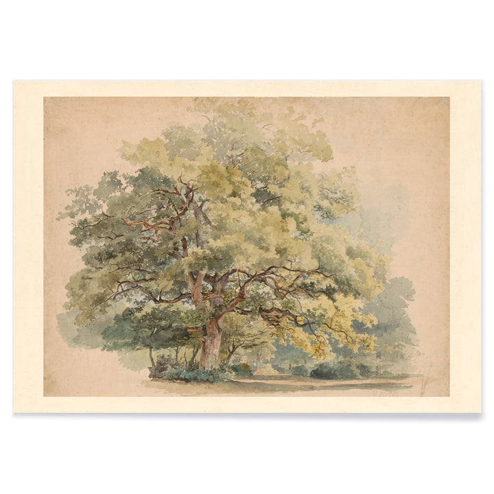 Lonely tree peaceful landscape painting and poster artwork by George Andries Roth, with black aluminium frame on white background