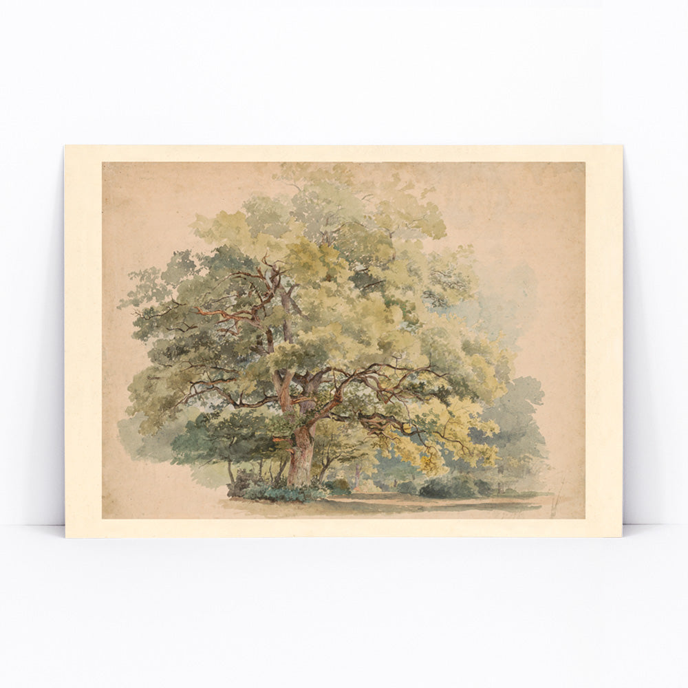 Lonely tree peaceful landscape painting and poster artwork by George Andries Roth, framed and displayed in modern living room decor