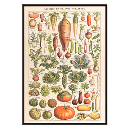 , with black aluminium frame on white background