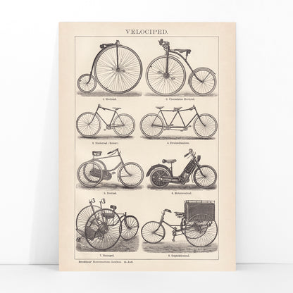 Vintage bicycle types and illustrations by Bibliographic institute of Liepzig Velociped with labeled bike types, framed and displayed in modern living room decor