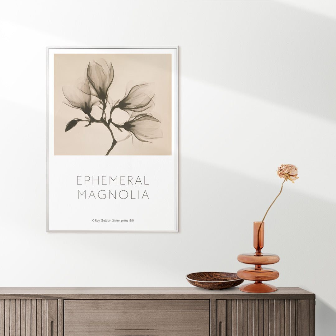 Magnolia branch with four delicate flowers x-ray style fine art print poster illustration, framed and displayed in home decor