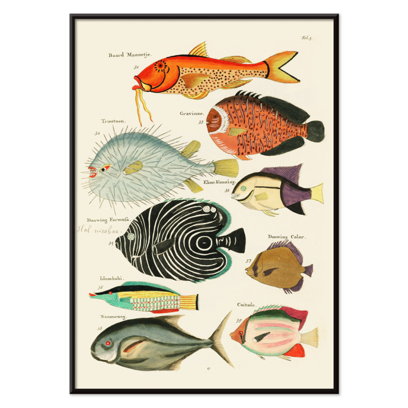 Illustrations surréalistes de poissons